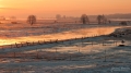 063_Biebrza - marzec 2013